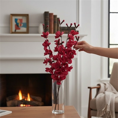 7 Shola Orchid Branch Wine Bunch 